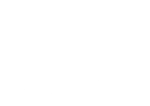 LGX Studio Image